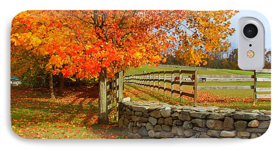 Autumn iPhone 8 Case featuring the photograph Autumn Afternoon by Suzanne DeGeorge
