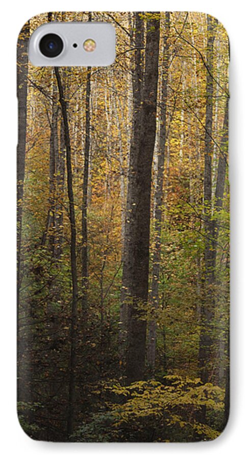 Autumn iPhone 8 Case featuring the photograph Autumn in the Woods by Andrew Soundarajan