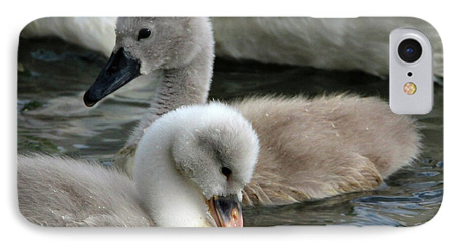 Wildlife iPhone 8 Case featuring the photograph Babys by David Stasiak