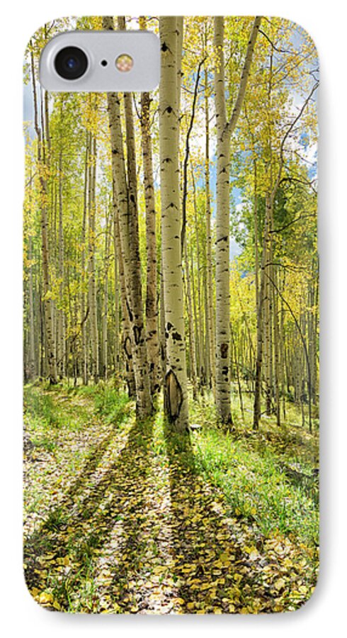 Aspen iPhone 8 Case featuring the photograph Backlit Aspen Trail by Denise Bush