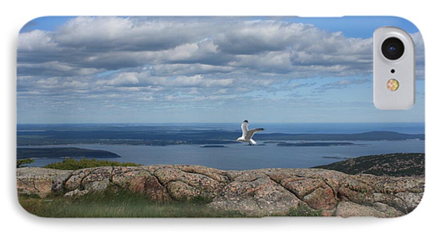 Seagull iPhone 8 Case featuring the photograph Bar Harbor view from Cadillac by Barbara Smith-Baker
