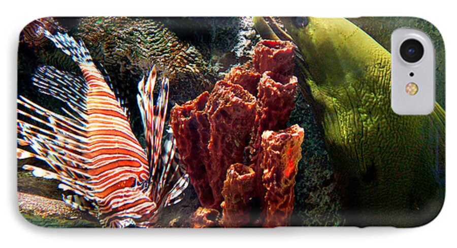 Eel iPhone 8 Case featuring the photograph Barnacle Buddies by Bill Pevlor