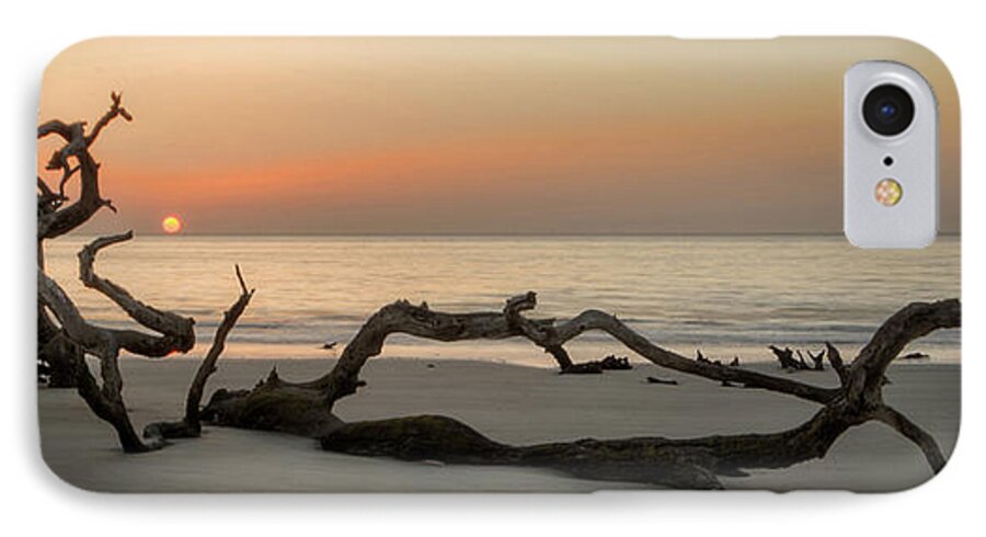 Driftwood iPhone 8 Case featuring the photograph Beach Art Cropped by Greg and Chrystal Mimbs