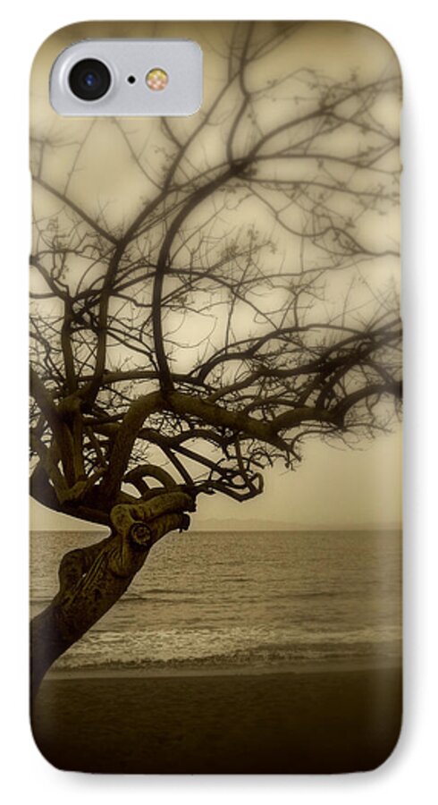 Tree iPhone 8 Case featuring the photograph Beach Tree by Perry Webster