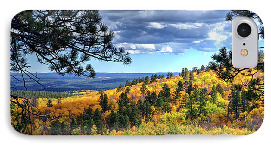 Autumn iPhone 8 Case featuring the photograph Black Hills Autumn by Fiskr Larsen