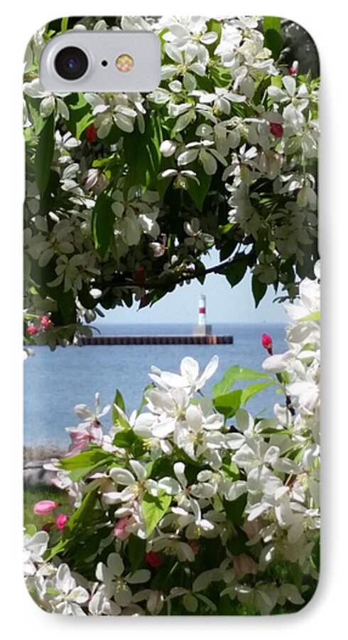 Petoskey iPhone 8 Case featuring the photograph Blossoms by Wendy Shoults