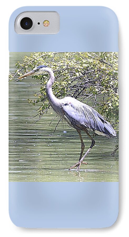 Blue Heron iPhone 8 Case featuring the photograph Blue Heron by Clarice Lakota