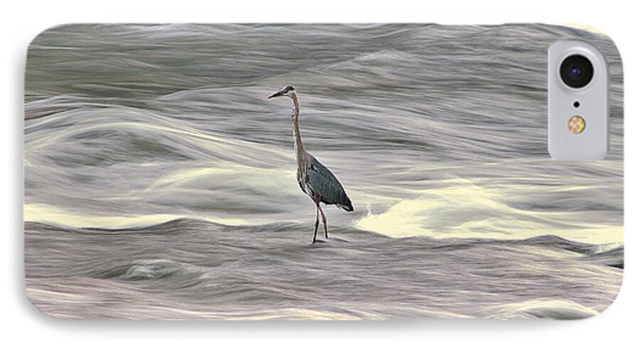 Blue Heron iPhone 8 Case featuring the photograph Blue Heron On The Grand River by Karl Anderson