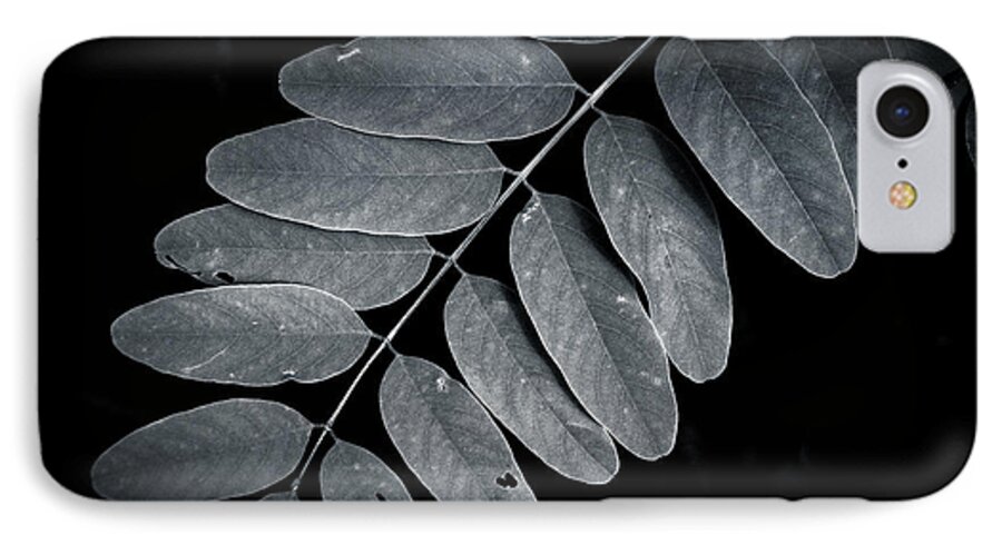 Leaves iPhone 8 Case featuring the photograph Bold Branch by Andy Smetzer