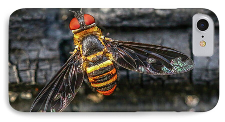 Bug iPhone 8 Case featuring the photograph Bug with Red Eyes by Tom Claud