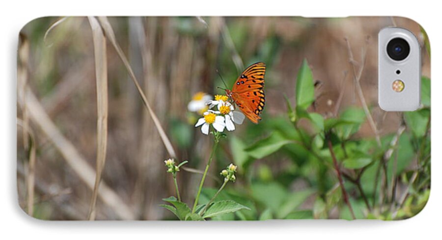 Butterfly iPhone 8 Case featuring the photograph Butterfly Flower by Rob Hans