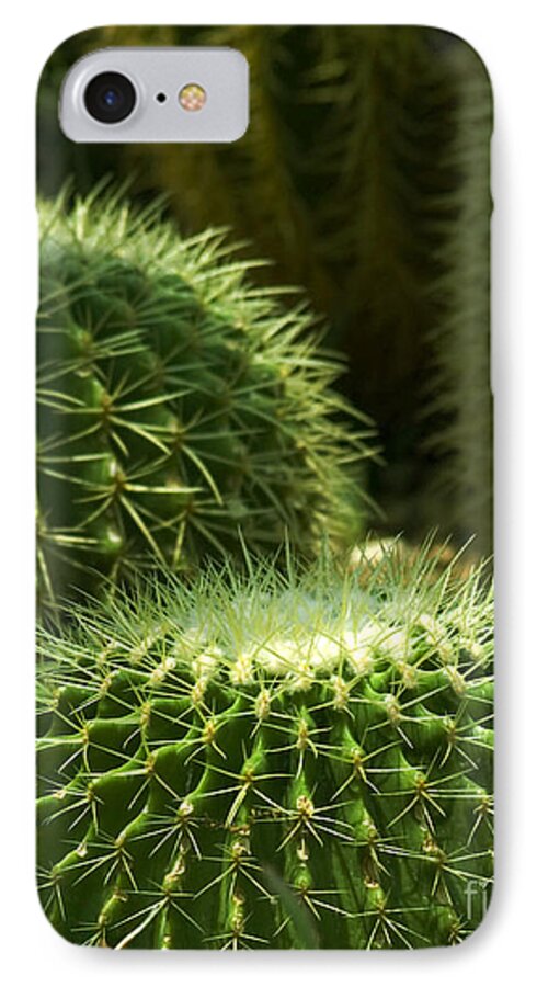 Plants iPhone 8 Case featuring the photograph Cactus by Robert Suggs