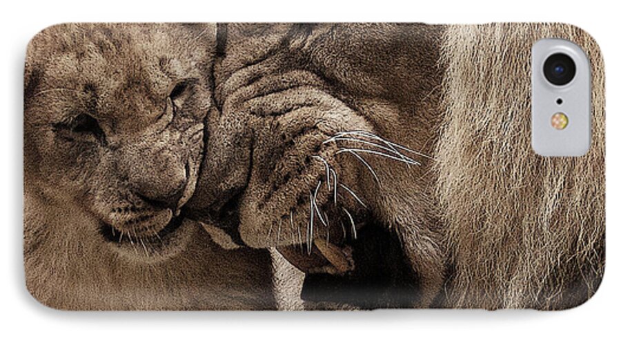 Lions. Lion iPhone 8 Case featuring the photograph Confidence by Christine Sponchia