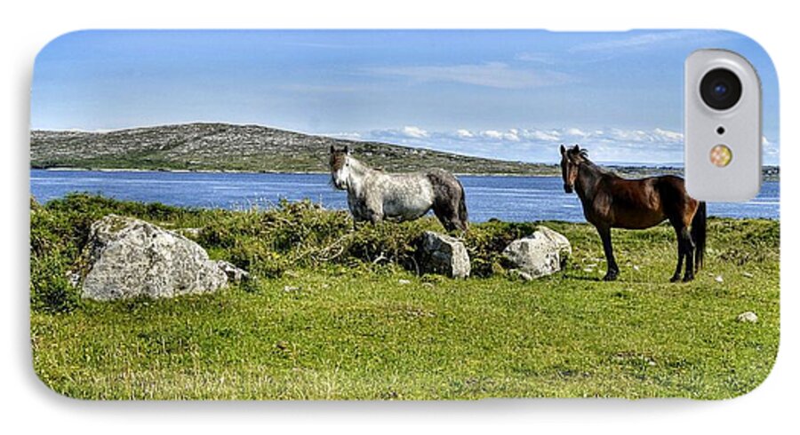 Connemara iPhone 8 Case featuring the photograph Connemara Ponies by Joe Ormonde