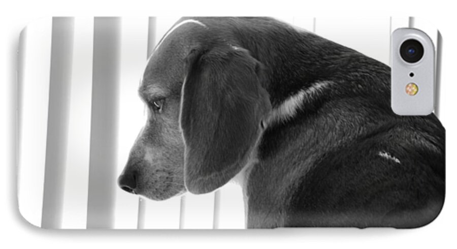 Beagle iPhone 8 Case featuring the photograph Contemplative Beagle by Jennifer Ancker