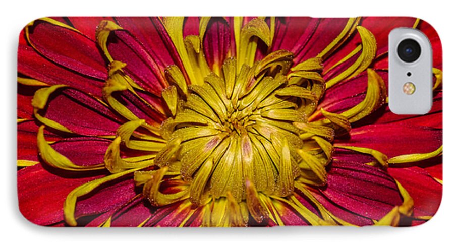 Flower iPhone 8 Case featuring the photograph Core of the flower by Gerald Kloss