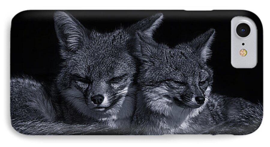 Animal iPhone 8 Case featuring the photograph Cuddle Buddies by Brian Cross