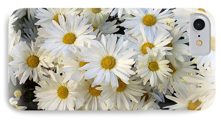 Daisy iPhone 8 Case featuring the photograph Daisy Bouquet by Carol Sweetwood
