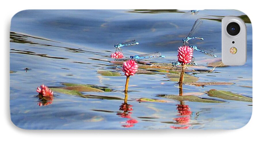 Damselfly iPhone 8 Case featuring the photograph Damselflies on Smartweed by Michele Penner