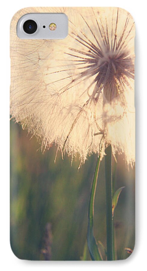 Dandelion iPhone 8 Case featuring the photograph Dandelion Sunshine by Nancy Coelho