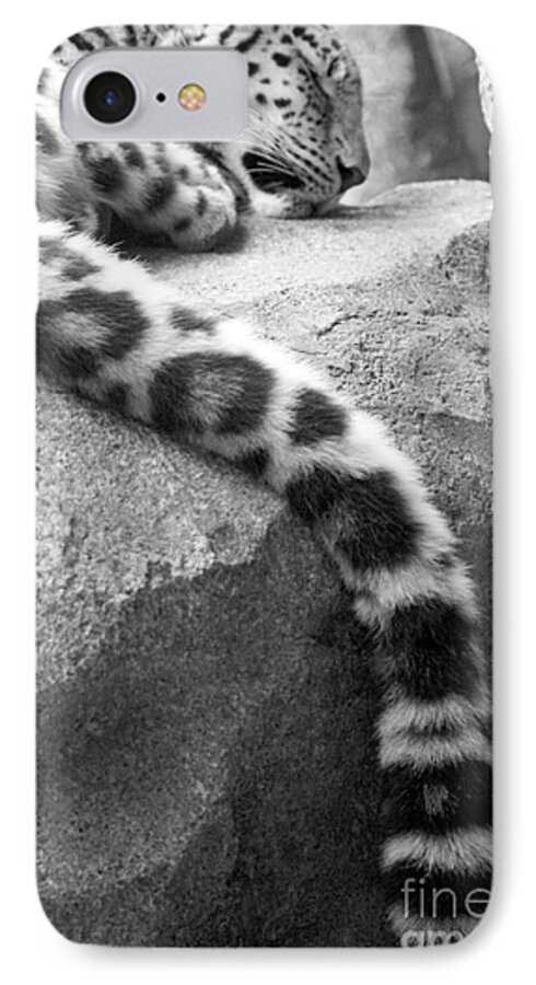Leopard iPhone 8 Case featuring the photograph Dangling and Dozing in Black and White by Mary Mikawoz