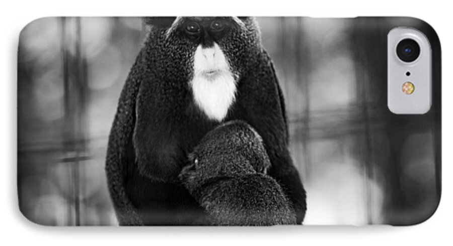 De Brazza iPhone 8 Case featuring the photograph De Brazza's Monkey by Jason Moynihan