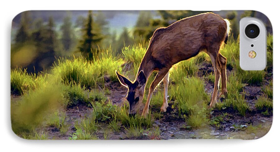 Nature iPhone 8 Case featuring the photograph Deer at Crater Lake, Oregon by John A Rodriguez