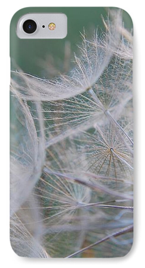 Nature iPhone 8 Case featuring the photograph Delicate Seeds by Amee Cave