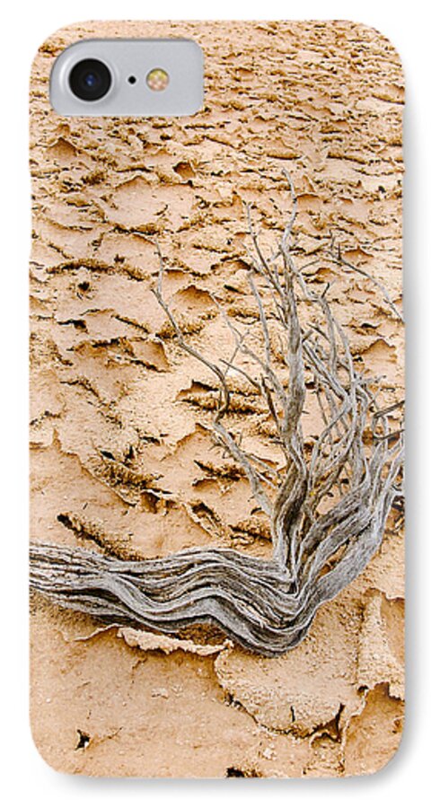 Gnarled iPhone 8 Case featuring the photograph Desert Wood by Mike Evangelist