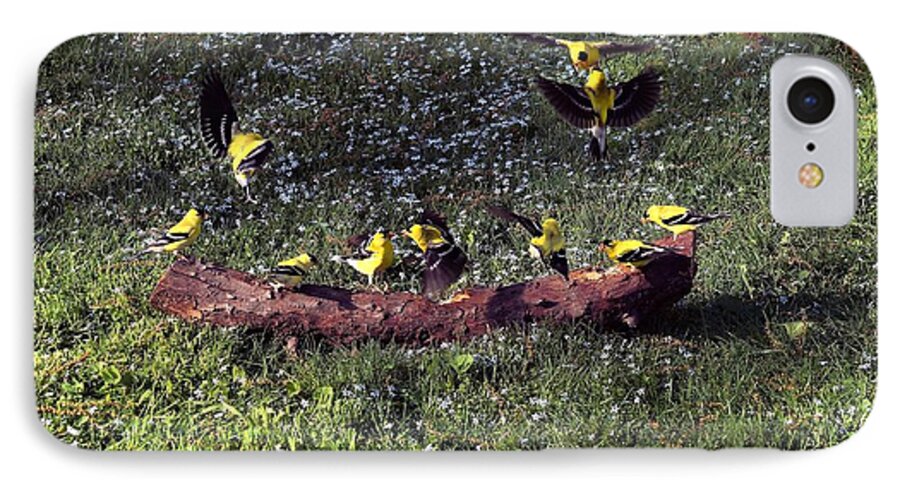 Canary iPhone 8 Case featuring the photograph Goldfinch Convention by Nick Kloepping
