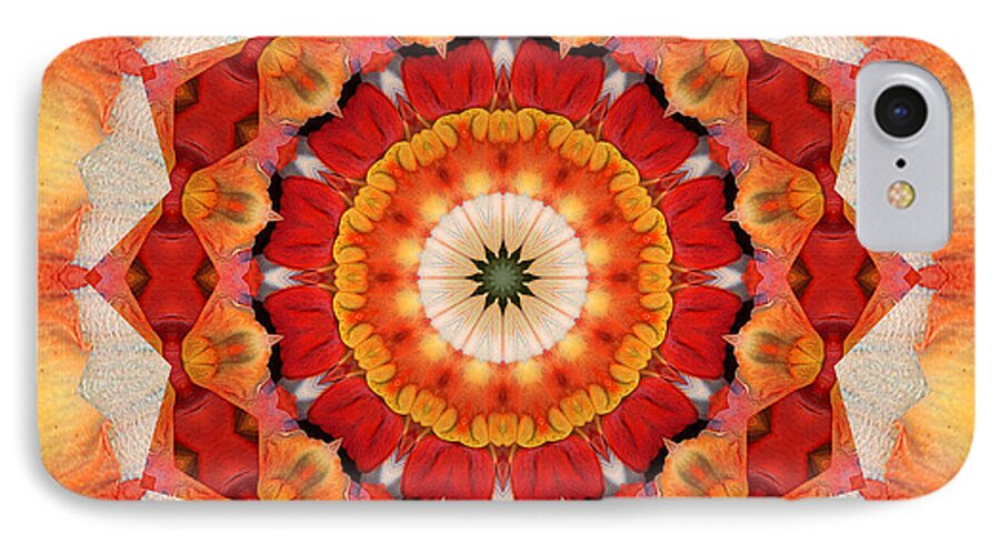 Mandalas iPhone 8 Case featuring the photograph Dreaming by Bell And Todd