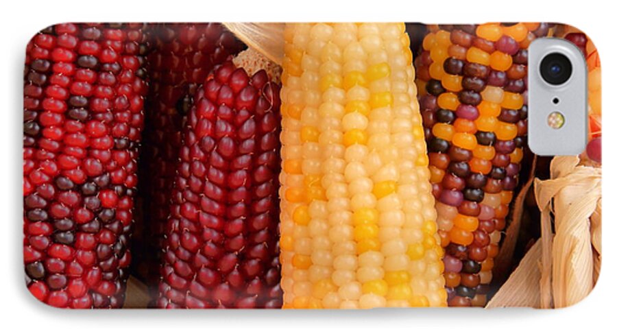 Indian Corn iPhone 8 Case featuring the photograph Dry Indian Corn by Jeff Lowe