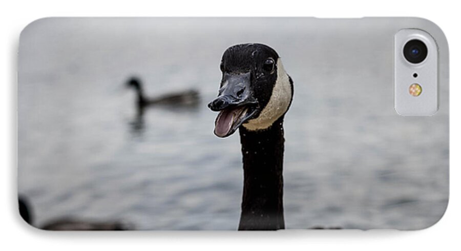 Duck iPhone 8 Case featuring the photograph Duck Duck Goose by Mike Dunn