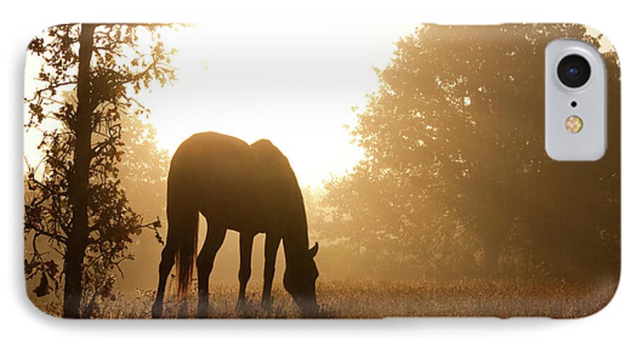 Horse iPhone 8 Case featuring the photograph Early Fall Morning by Sari ONeal
