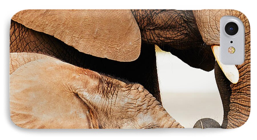 Baby iPhone 8 Case featuring the photograph Elephant calf and mother close together by Nick Biemans