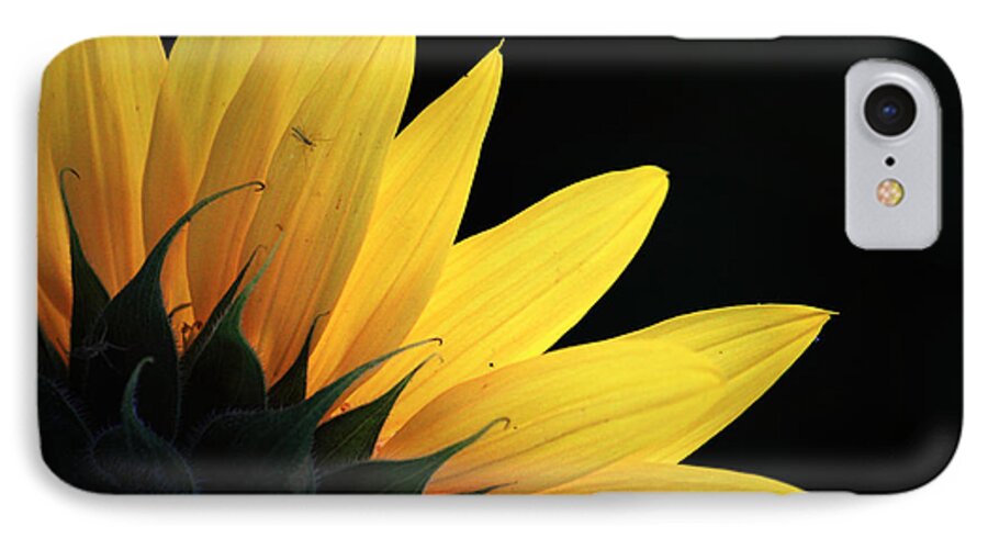 Flower iPhone 8 Case featuring the photograph Evening Glow by Nancy Coelho