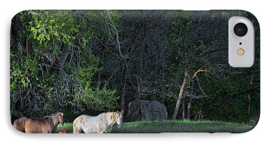Horses iPhone 8 Case featuring the photograph Evening Rest by Randy Rogers