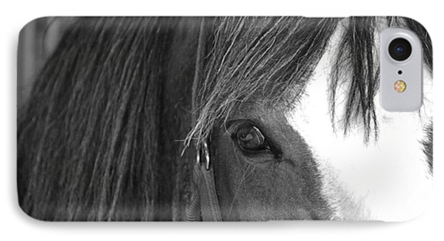 Horse iPhone 8 Case featuring the photograph Eyes by Traci Cottingham