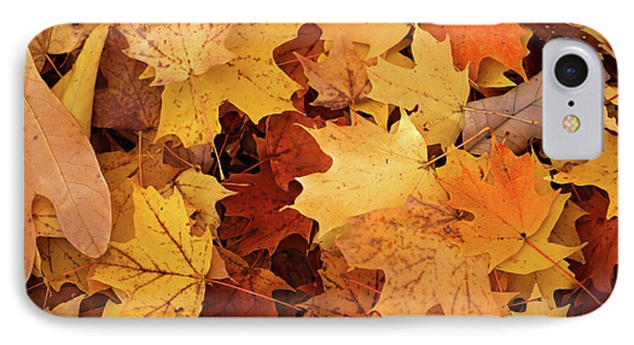 Fall iPhone 8 Case featuring the photograph Fall Carpet 10 by Mary Bedy