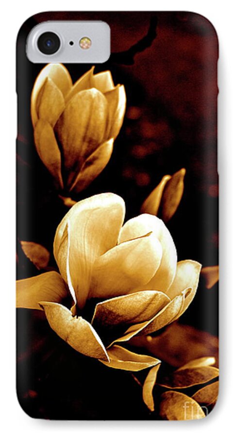 Cathy Dee Janes iPhone 8 Case featuring the photograph Flowers in Sepia by Cathy Dee Janes