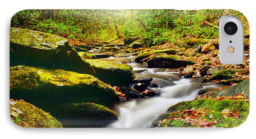 Beauty iPhone 8 Case featuring the photograph Flowing Softly by Darren Fisher