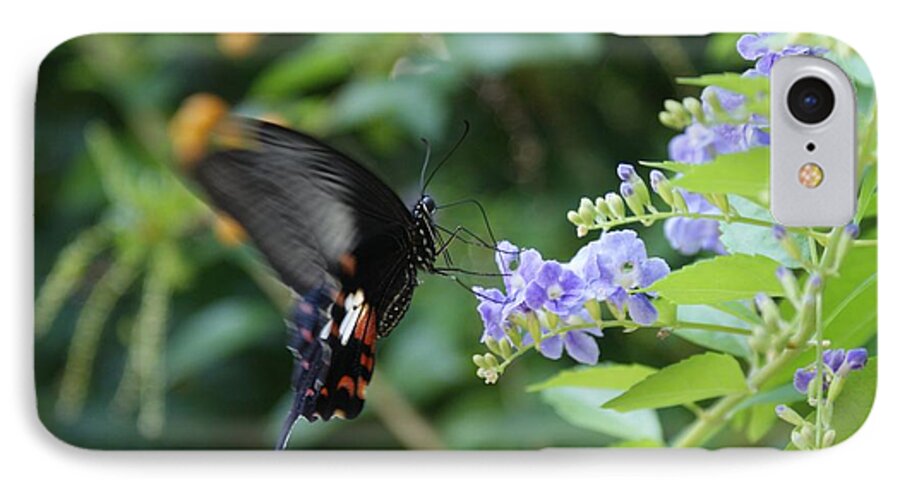 Butterfly iPhone 8 Case featuring the photograph Fly in Butterfly by Shelley Jones
