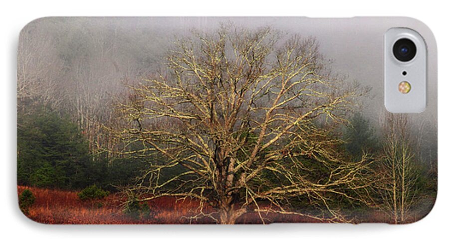 Fog iPhone 8 Case featuring the photograph Fog Tree by Geraldine DeBoer