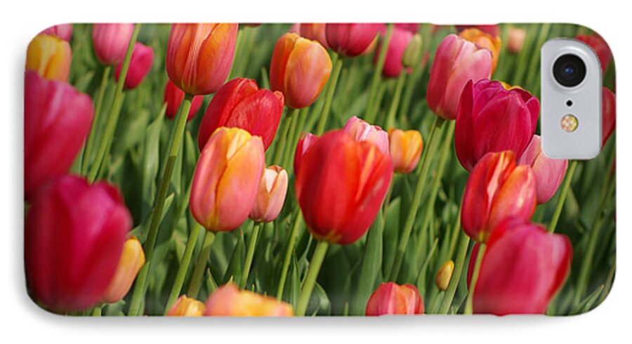 Tulips iPhone 8 Case featuring the photograph Following the Crowd by Linda Mishler