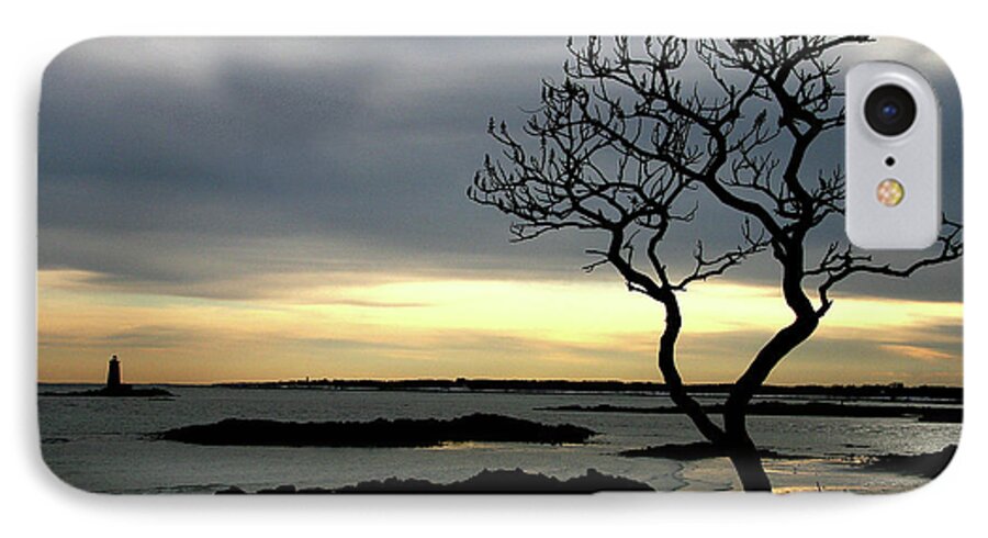 Maine iPhone 8 Case featuring the photograph Fort Foster by Mark Alesse