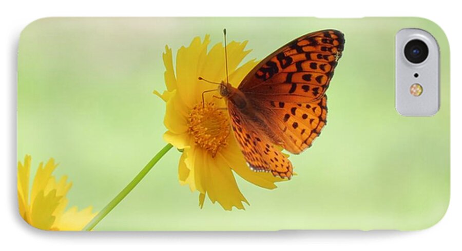 Butterfly iPhone 8 Case featuring the photograph Fritillary Fun by MTBobbins Photography
