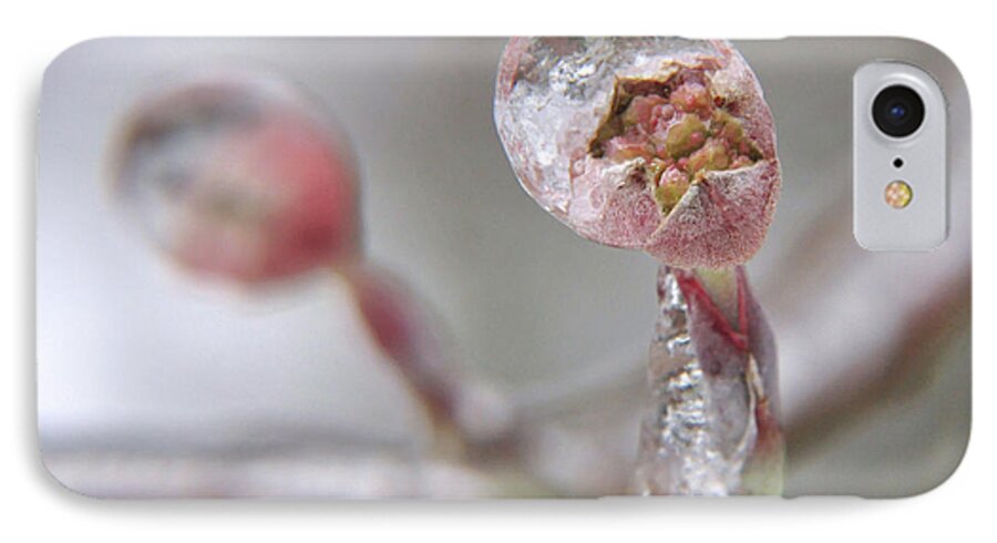 Flower iPhone 8 Case featuring the photograph Frozen Dogwood Bud by Susan Cliett
