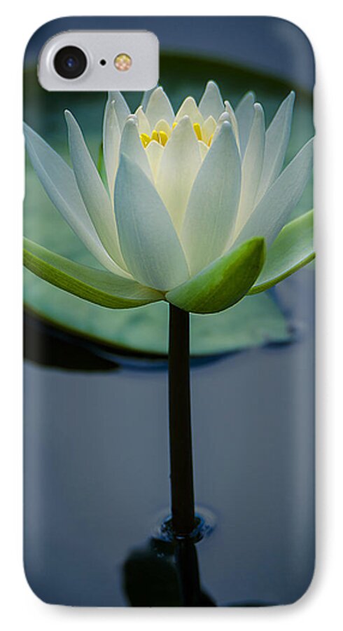 Lily iPhone 8 Case featuring the photograph Glowing Lily by Andy Smetzer