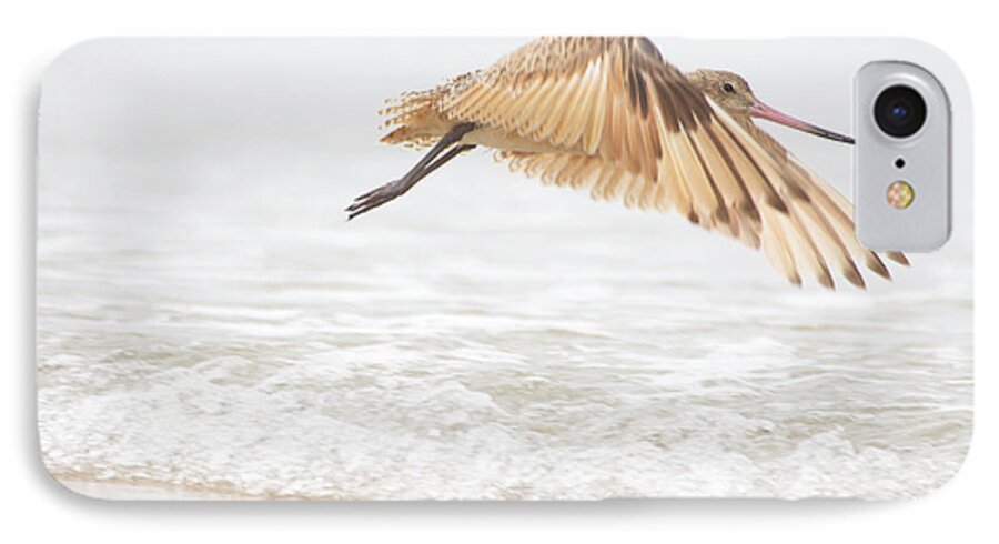 Marbled Godwit iPhone 8 Case featuring the photograph Godwit over the Ocean by Ruth Jolly