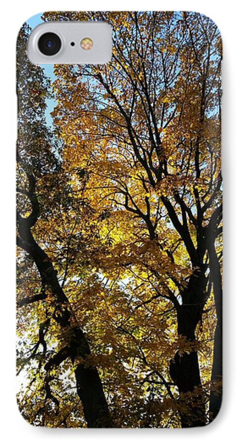 Landscape iPhone 8 Case featuring the photograph Golden Fall by Leara Nicole Morris-Clark
